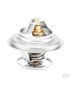 Massey Ferguson - F119202050030 - Thermostat, without Housing