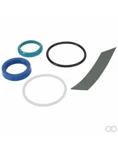 Massey Ferguson - F198870052220 - Seal Kit