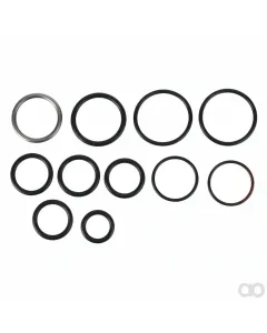 Massey Ferguson - F246860100030 - Seal Kit, Control Valve