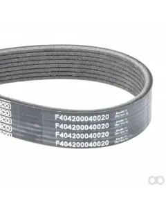 Massey Ferguson - F404200040020 - Serpentine Belt