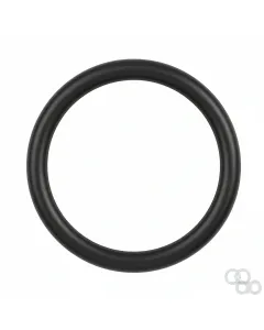 Massey Ferguson - F716150070060 - Sealing Washer