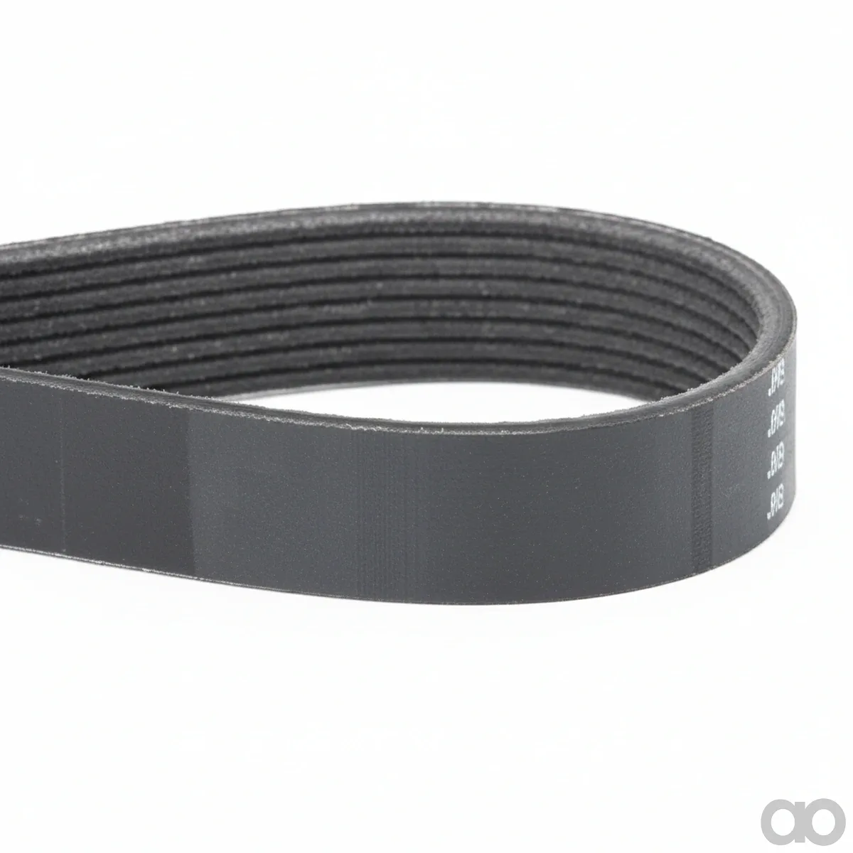 Massey Ferguson - F836200040020 - Serpentine Belt, PK8 Profile