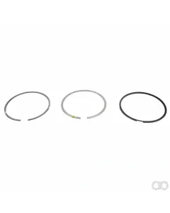Massey Ferguson - F842201310130 - Piston Ring, Kit