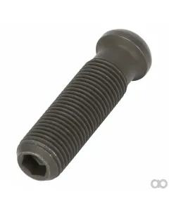 Massey Ferguson - F842201410050 - Adjusting Screw