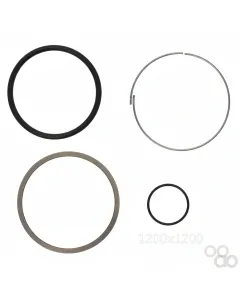 Massey Ferguson - F931860030130 - Seal Kit, Hydraulic Lift Cylinder