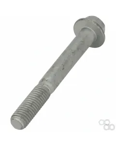 Massey Ferguson - F934900010020 - Hexagonal Head Bolt