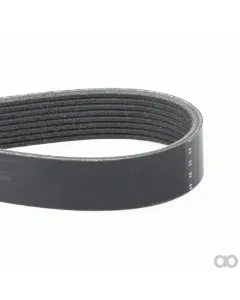 Massey Ferguson - F954200040020 - Serpentine Belt, PK8 Profile