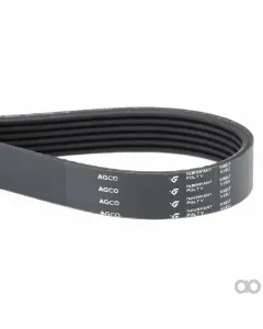 Massey Ferguson - V39985300 - Serpentine Belt, PK6 Profile