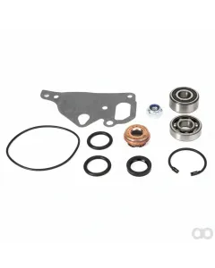 Massey Ferguson - V836762748 - Water Pump Repair Kit