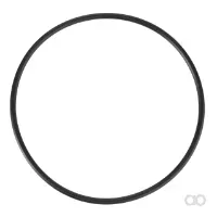 Massey Ferguson - X548972066000 - O-Ring