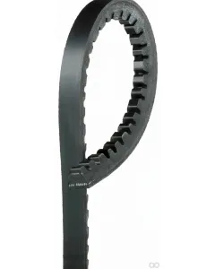 Massey Ferguson - X696616000000 - V-Belt
