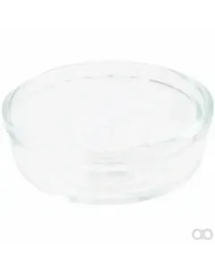Merlo - 035497 - Cover