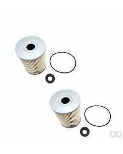 Merlo - A00660 - Fuel Filter Iveco