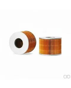 Merlo - P00731 - Fuel Filter