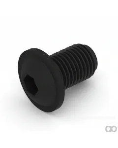 John Deere - 19M8937 - Hexagonal Socket Head Flange Screw, M5 X 10