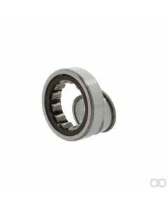 Nachi - NJ310EG - Nachi Cylindrical Roller Bearing