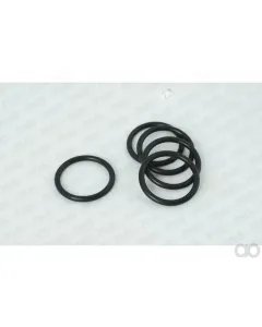 New Holland - 2900496 - O-Ring