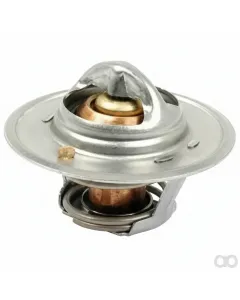 Perkins - 2485669 - Thermostat