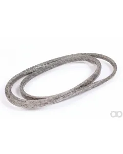 Ratioparts - 140910 - V-Belt Motec MT C300Y Drive AYP140910