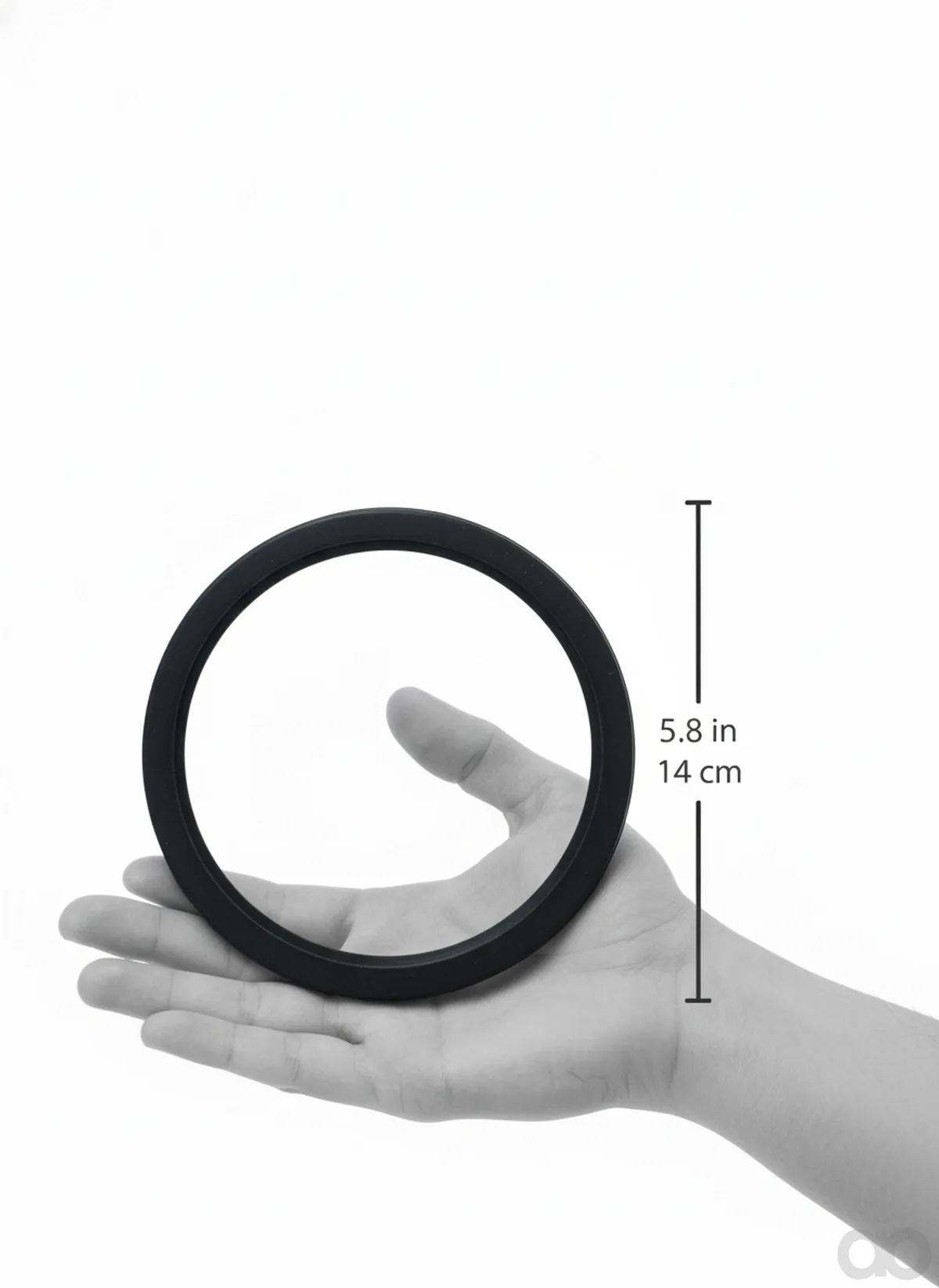 Renault - 7700012311 - Retaining Ring
