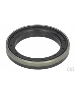 SAME - 001034211 - Sealing Ring