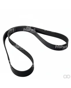 SAME - 01183387 - Belt