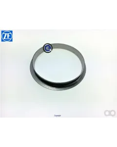 SAME - 04416759 - Pressure Spring