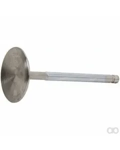 SAME - 04903005 - Intake Valve