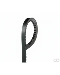 SAME - 06210991 - Belt 22x2800 Li