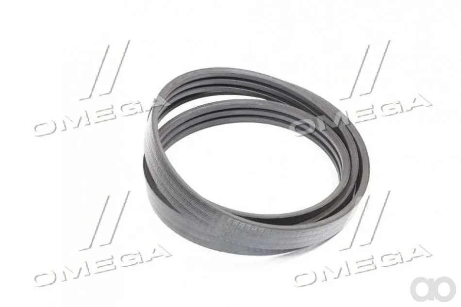 SAME - 06215257 - Belt