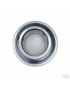 SAME - 06215749 - Ball Bearing