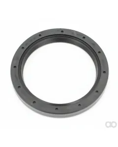 SAME - 215190310 - Seal Ring