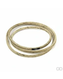 Simplicity - 1737441YP - Belt