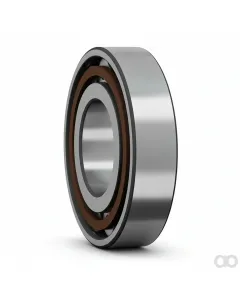 SKF - N310ECP - Taper Roller Bearing N 310 ECP