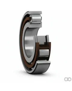 SKF - N311ECP - Taper Roller Bearing N 311 ECP