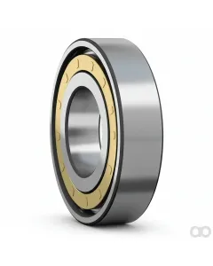 SKF - N324ECMC3 - Taper Roller Bearing N 324 ECM/C3