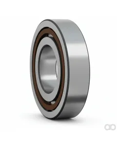 SKF - NJ220ECPC3 - Tapered Roller Bearing NJ 220 ECP/C3