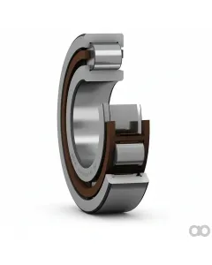SKF - NJ2311ECPC3 - Tapered Roller Bearing NJ 2311 ECP/C3