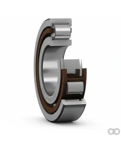 SKF - NJ311ECPC3 - Taper Roller Bearing NJ 311 ECP/C3