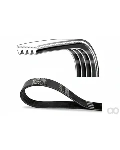 Steyr - 4899373 - V-Belt