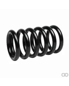 Steyr - 500099002 - Valve Spring Steyr Land