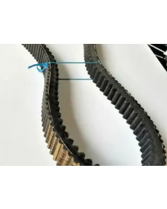 Tagex - 6098230 - V-Belt Tagex