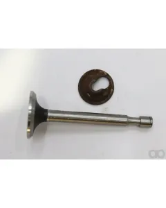 Tecumseh - 35621 - Exhaust Valve Standard