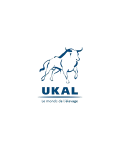 UKAL - 129053100 - Peson 1 tonne digital graduati