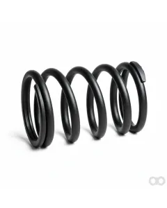 Unbranded - 500099003 - Valve Spring T80 T280