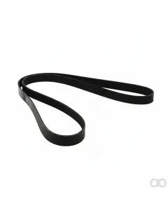 Unbranded - 8PK1955 - Multi-Rib Belt Continental
