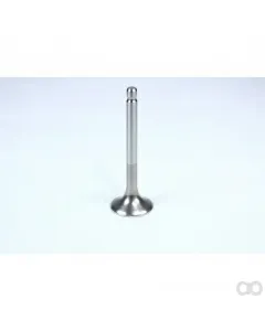 Valtra - 837069002 - Exhaust Valve