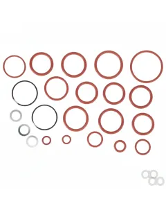 Valtra - F117961030010 - Seal Kit, Control Valve