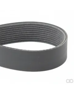 Valtra - F954200040010 - Serpentine Belt, PK10 Profile