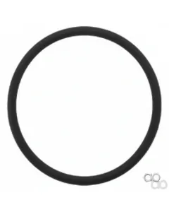 Valtra - V35855100 - O-Ring